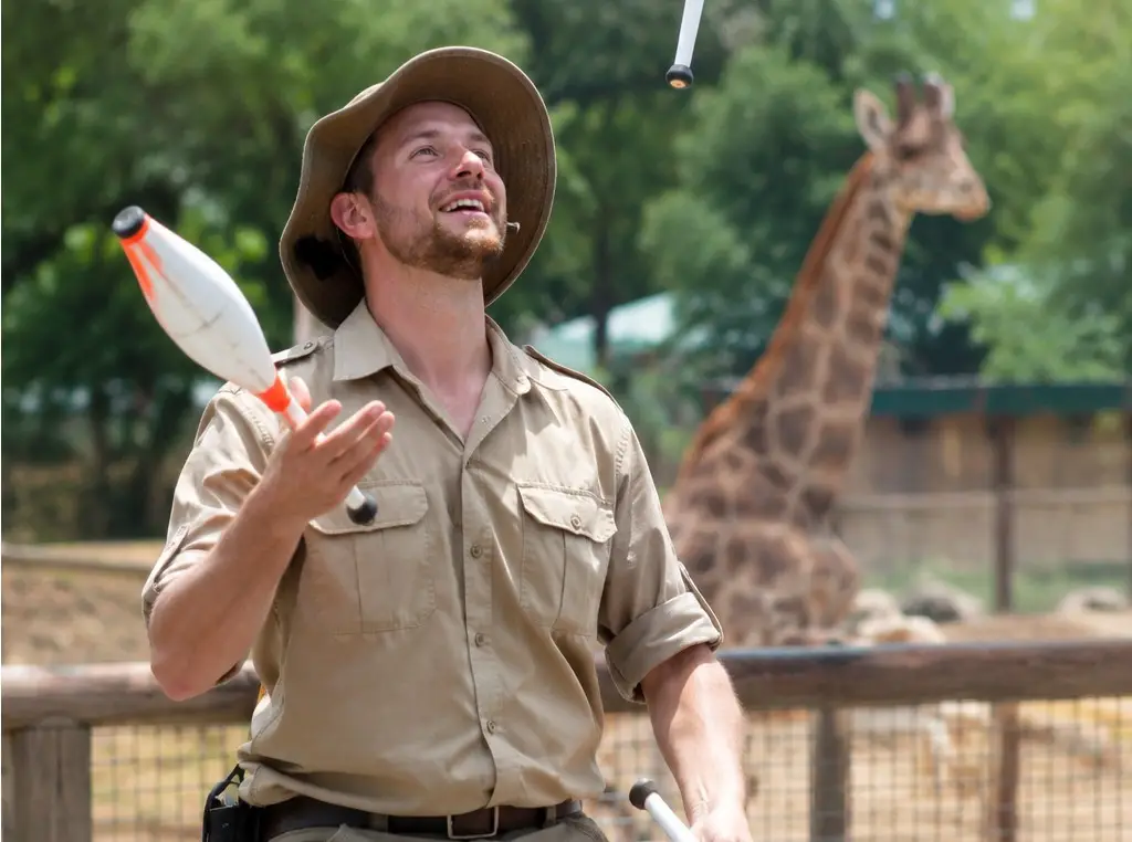 safari juggler at a zoo performing in front of a giraffe